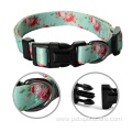 Dog Accesories Ajustable Dog Collar And Leash Set